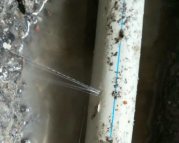富拉尔基卫生间测漏水多少钱