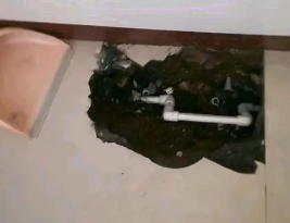 富拉尔基卫生间测漏水多少钱